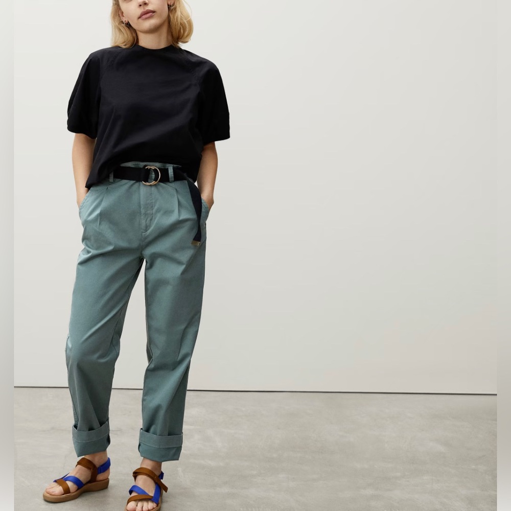 Everlane Pleated Chinos